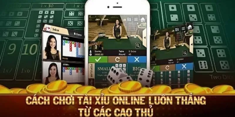 Kinh nghiệm đánh tài xỉu 23win bằng mẹo cược gấp thếp thắng lớn